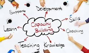 Capacity Building